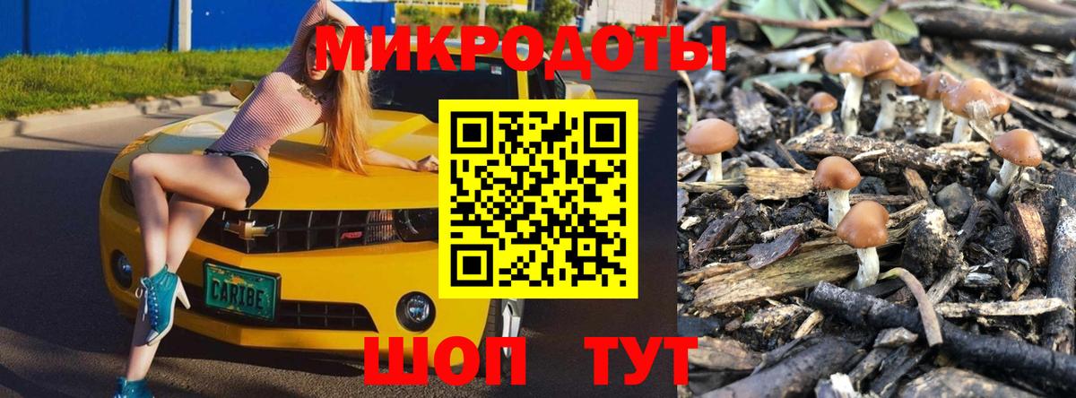 где можно купить   Галлюциногенные грибы прущие грибы  Гусиноозёрск  Вход с VPN  Галлюциногенные грибы Cubensis 