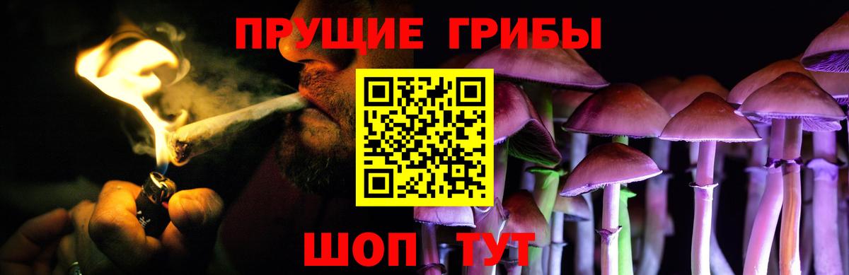 Псилоцибиновые грибы прущие грибы Гусиноозёрск